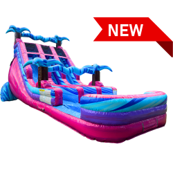 Website20solos.zip20 208 1751330446 20' Bubble Gum Paradise